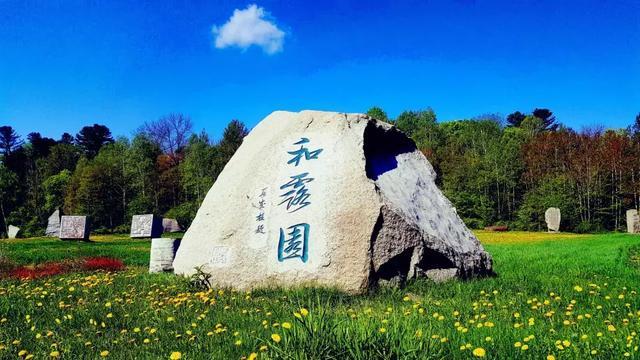 我是孙二谋