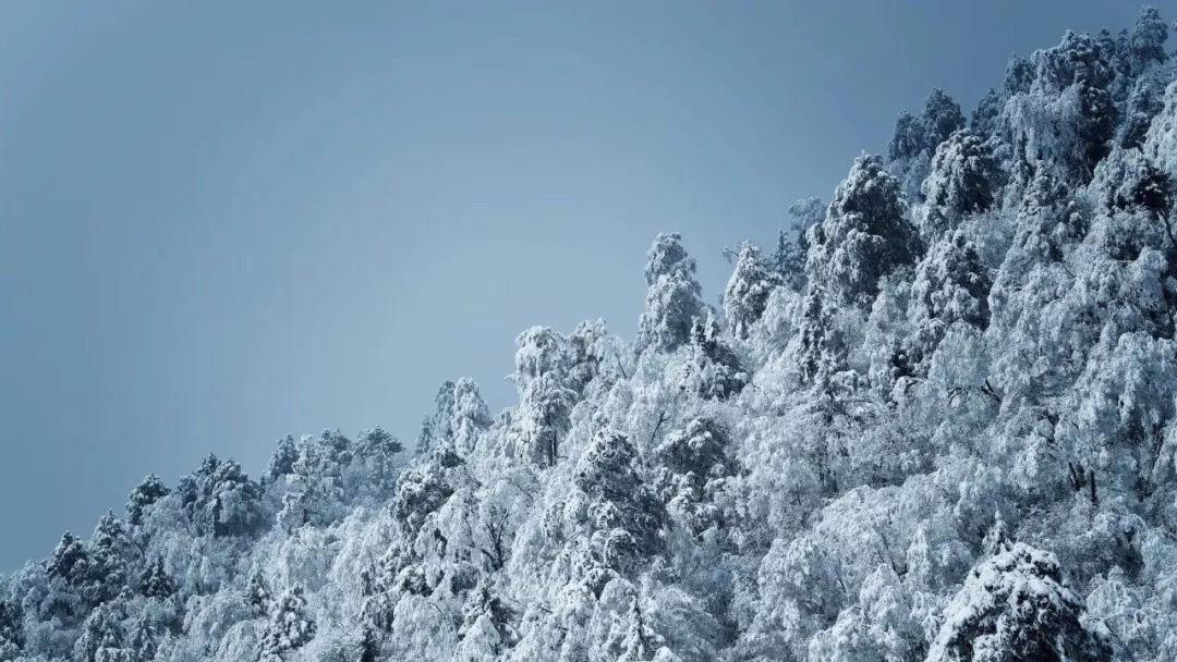 疯狂球球极限求生