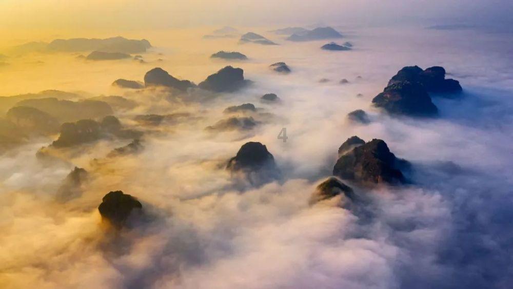 阿尔的派对夜